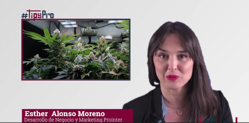 #TipsPRO instalaciones cultivo cannabis España