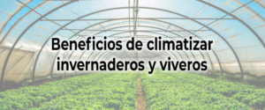 🍃 Beneficios de climatizar 💐 invernaderos y viveros