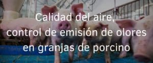 Calidad del aire, control de emisión de olores en granjas de porcino